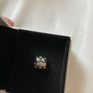 Pandora family charm silver 925
